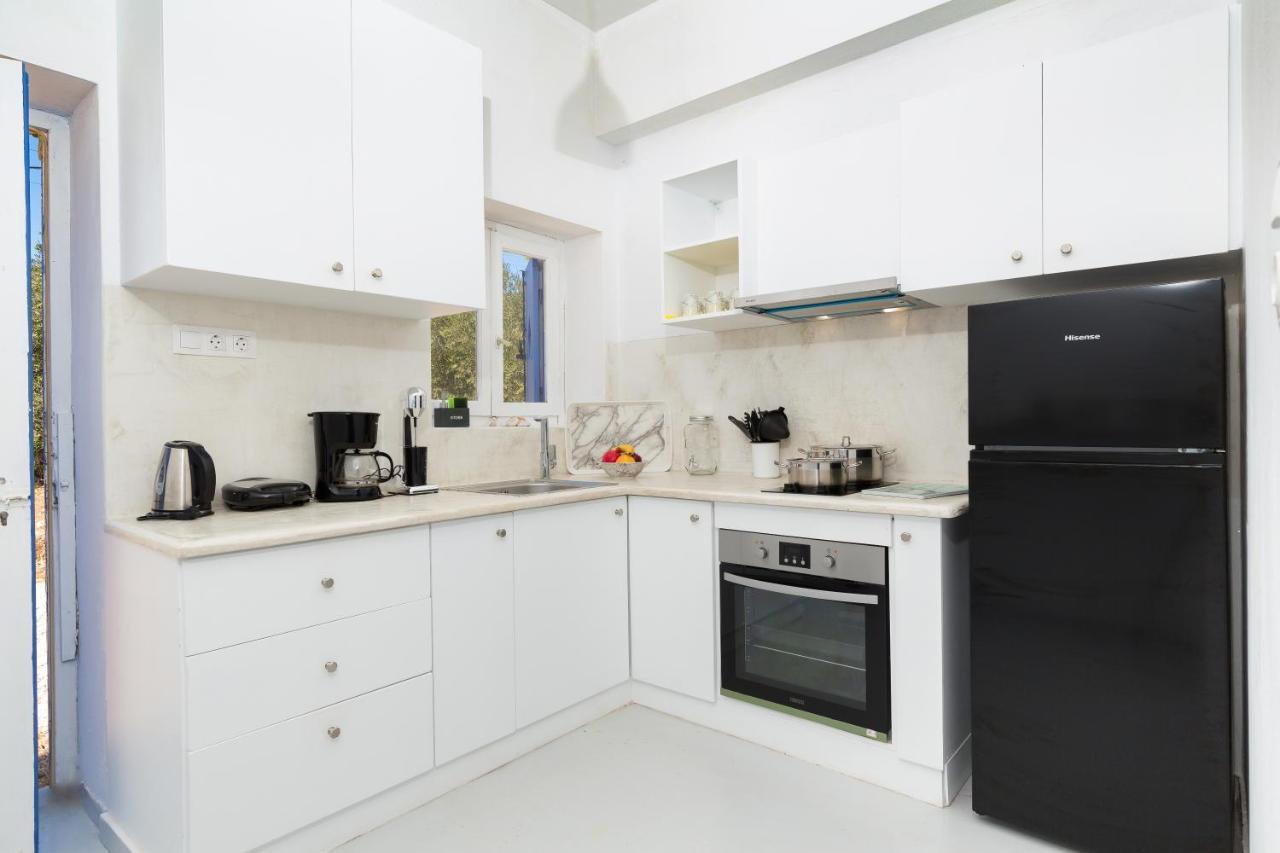 Blue Violet Apartment Drios Dış mekan fotoğraf