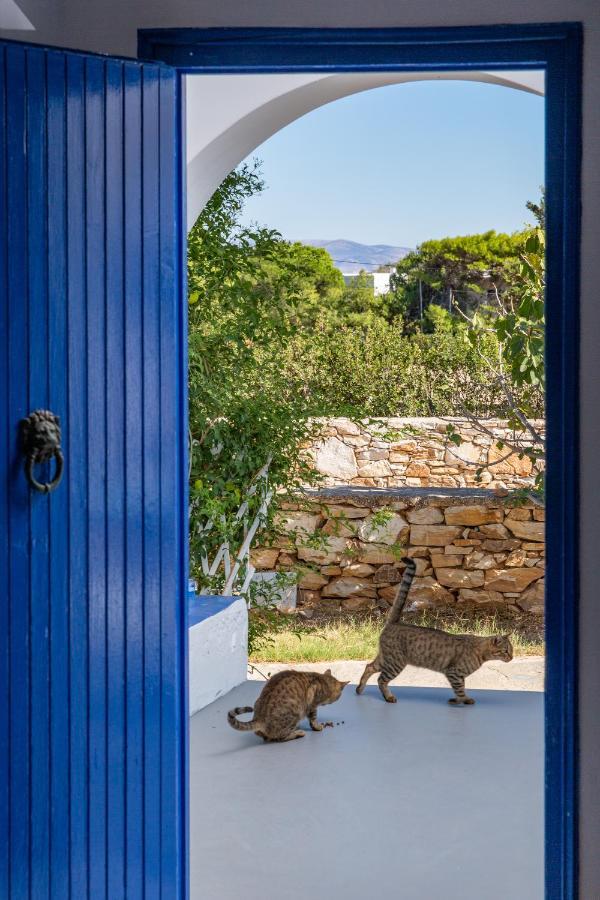 Blue Violet Apartment Drios Dış mekan fotoğraf